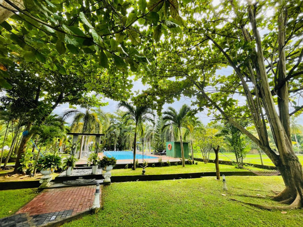 Tishan Holiday Resort Polonnaruwa Exteriör bild