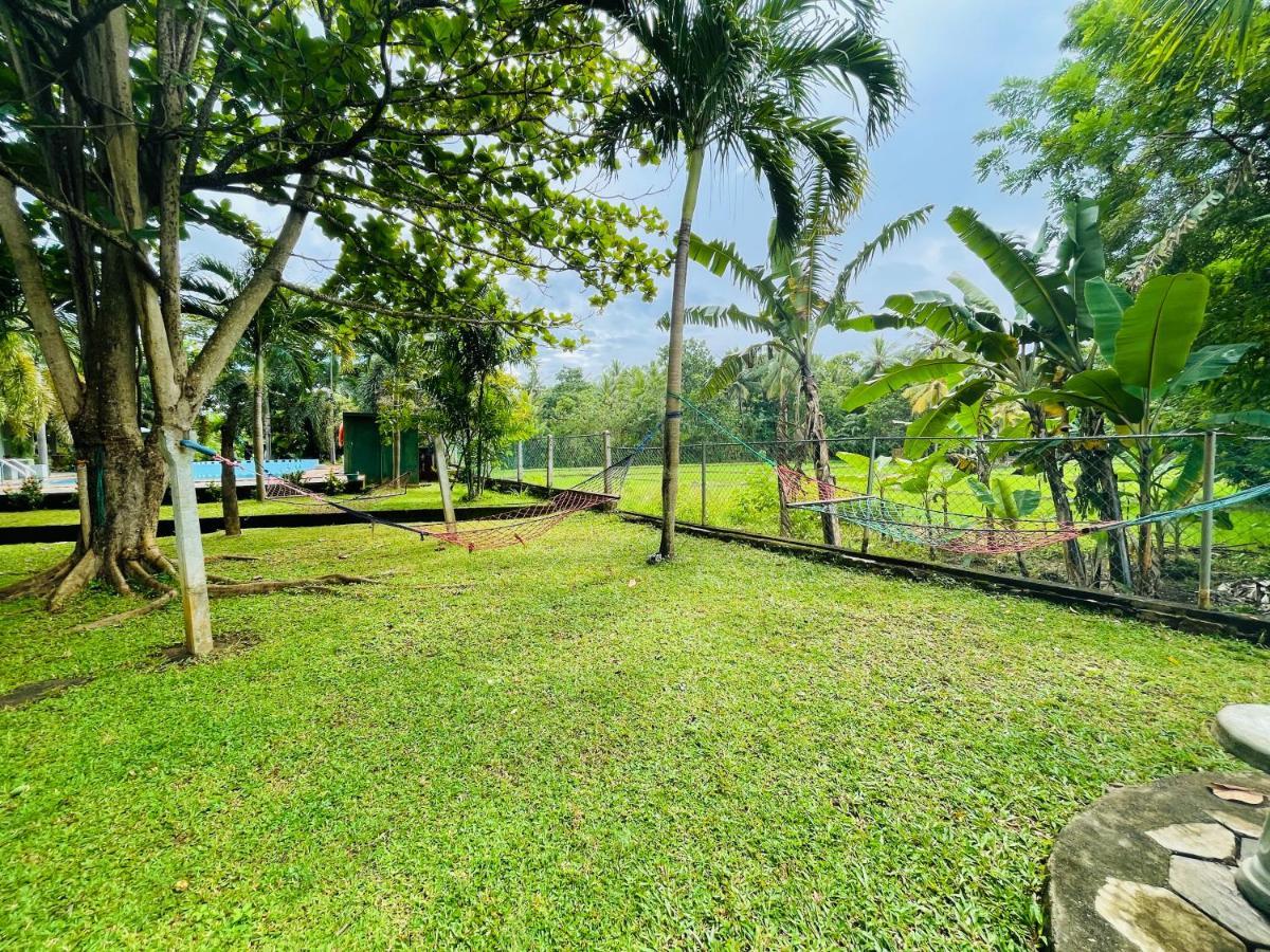 Tishan Holiday Resort Polonnaruwa Exteriör bild